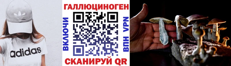 Псилоцибиновые грибы MAGIC MUSHROOMS  цены   Ухта 