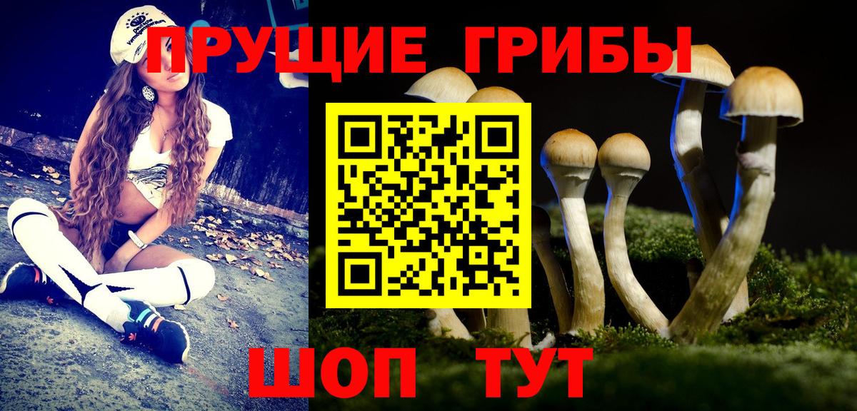 Псилоцибиновые грибы MAGIC MUSHROOMS Ухта